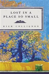Book cover of Lost in a Place So Small by Rick Collignon