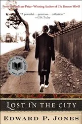 Book cover of Lost in the City by Edward P. Jones