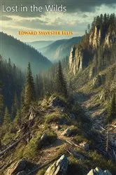 Book cover of Lost in the Wilds by Unknown