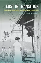Book cover of Lost in Transition by Yiu-Wai Chu