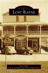 Book cover of Lost Rayne by Tony Olinger