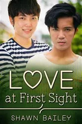 Book cover of Love at First Sight by B.J. Daniels