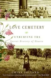 Book cover of Love Cemetery by China Galland