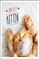 Book cover of Love is a Kitten by Unknown