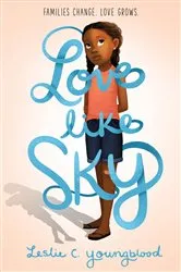 Book cover of Love Like Sky by Leslie C. Youngblood