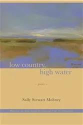 Book cover of Low Country, High Water by Sally Stewart Mohney
