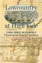 Book cover of Lowcountry at High Tide by Christina Rae Butler