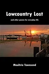 Book cover of Lowcountry Lost by Moultrie Townsend