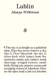 Book cover of Lublin by Manya Wilkinson