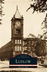 Book cover of Ludlow by Karen E. Pilon