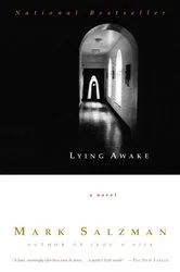 Book cover of Lying Awake by Mark Salzman