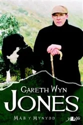 Book cover of Mab y Mynydd by Gareth Wyn Jones