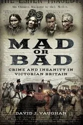 Book cover of Mad or Bad by David J. Vaughan