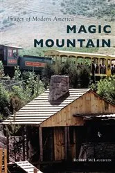 Book cover of Magic Mountain by Unknown