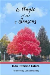 Book cover of Magic of the Seasons by Lafuze, Joan, Esterline