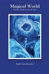 Book cover of Magical World by Rabbi Sara Brandes