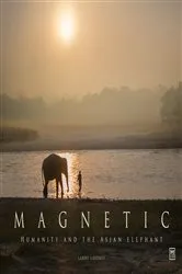 Book cover of Magnetic by Larry Laverty
