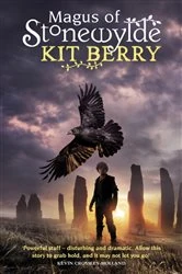 Book cover of Magus of Stonewylde by Kit Berry