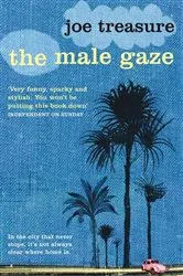Book cover of Male Gaze by Joe Treasure