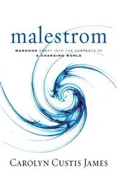 Book cover of Malestrom by Carolyn Custis James
