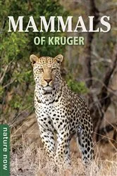 Book cover of Mammals of Kruger by Joan Young