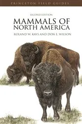 Book cover of Mammals of North America (2nd ed.) by Roland W. Kays