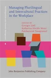 Book cover of Managing Plurilingual and Intercultural Practices in the Workplace by Georges Lüdi