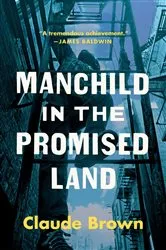 Book cover of Manchild in the Promised Land by Unknown