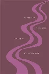 Book cover of Mandible Wishbone Solvent by Asiya Wadud