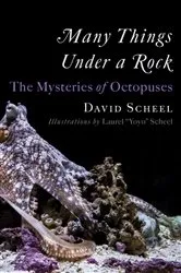 Book cover of Many Things Under a Rock: The Mysteries of Octopuses by Unknown