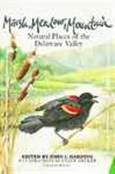 Book cover of Marsh Meadow Mountain by John Harding
