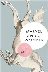 Book cover of Marvel and a Wonder by Unknown