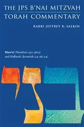 Book cover of Mase'ei (Numbers 33:1-36:13) and Haftarah (Jeremiah 2:4-28; 3:4) by Jeffrey K. Salkin
