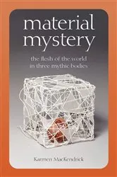 Book cover of Material Mystery by Karmen MacKendrick