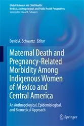Book cover of Maternal Death and Pregnancy-Related Morbidity Among Indigenous Women of Mexico and Central America by David A. Schwartz