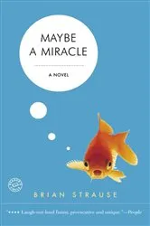 Book cover of Maybe a Miracle by Brian Strause