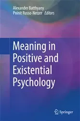 Book cover of Meaning in Positive and Existential Psychology by Alexander Batthyany