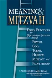 Book cover of Meaning & Mitzvah by Milgram, DMin, Rabbi Goldie