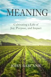 Book cover of Meaning by Betty J. Birner