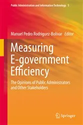 Book cover of Measuring E-government Efficiency by Manuel Pedro Rodríguez-Bolívar