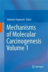 Book cover of Mechanisms of Molecular Carcinogenesis – Volume 1 by Johannes Haybaeck