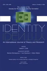 Book cover of Mediated Identity in the Emerging Digital Age by Hubert J.M. Hermans