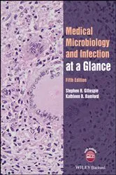 Book cover of Medical Microbiology and Infection at a Glance (5th ed.) by Stephen H. Gillespie