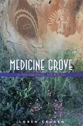 Book cover of Medicine Grove by Loren Cruden