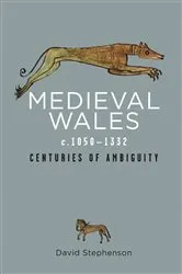 Book cover of Medieval Wales c.1050-1332 by David Stephenson