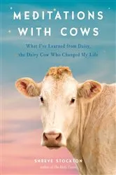Book cover of Meditations with Cows by Unknown