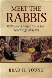 Book cover of Meet the Rabbis by Brad H. Young