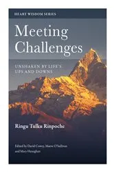 Book cover of Meeting Challenges by Ringu Tulku