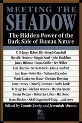 Book cover of Meeting the Shadow by Connie Zweig