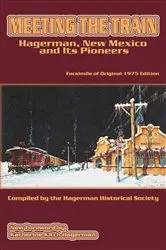 Book cover of Meeting the Train by Hagerman Historical Society